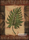 Tropical Leaf II by Todd Williams - Framed Art Print