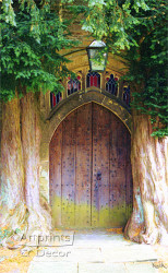 Forest Doorway by Sandra Kuck - Art Print