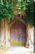 Forest Doorway by Sandra Kuck - Stretched Canvas Art Print
