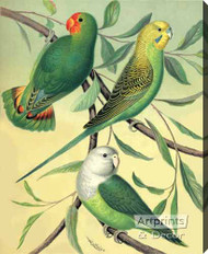 Love Birds by W Rutledge - Stretched Canvas Art Print
