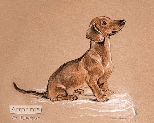 ORIGINAL dachshund illustration, dachshund art, mixed-media dog art, original dog art, wire haired dachshund, wiener on sale dog art