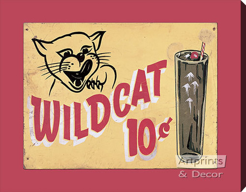 Wild Cat - Stretched Canvas Art Print