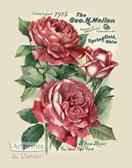 The Ideal Red Rose by Rhea Reid - Framed Art Print