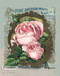 The Queen of Edgely Roses - Framed Art Print