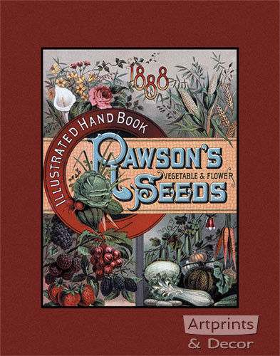 Rawson's Seeds - Framed Art Print