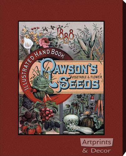 Rawson's Seeds - Stretched Canvas Art Print