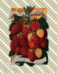 Strawberries - Art Print