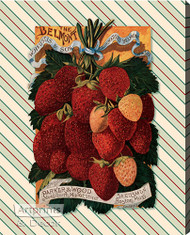 Strawberries - Stretched Canvas Art Print