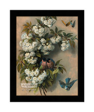 The Flowering Perch - Framed Art Print
