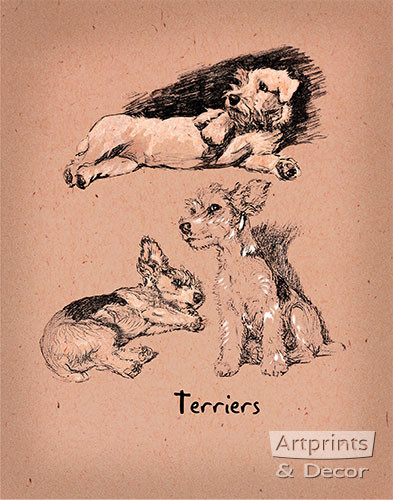 Terriers - Art Print