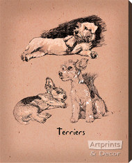 Terriers - Stretched Canvas Print