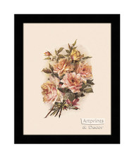Blush Roses - Framed Art Print