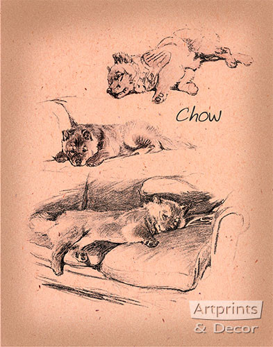Chows - Art Print
