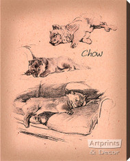 Chows - Stretched Canvas Print