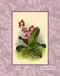 Rose Orchids - Art Print
