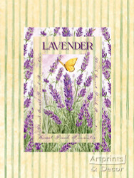 Lavender - Art Print