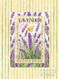 Lavender - Art Print