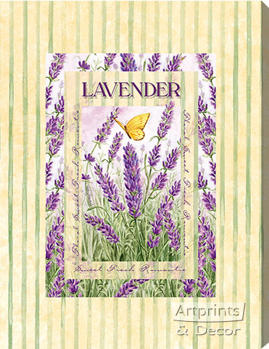 Lavender - Stretched Canvas Print