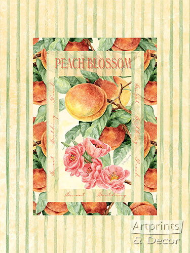 Peach Blossom - Framed Art Print