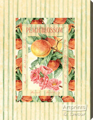 Peach Blossom - Stretched Canvas Print