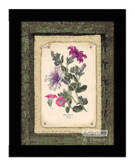 Petunias - Framed Art Print