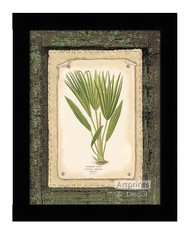 Bourbon Palm - Framed Art Print
