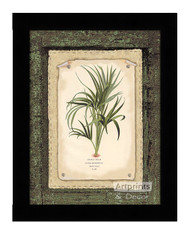 Curly Palm - Framed Art Print