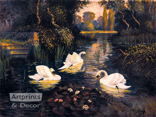 Swan Lake Floral - newest Original Photograph by Award-winning Artist