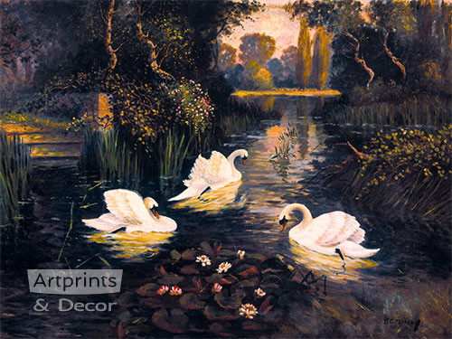 Swan Lake by S. C. Morley - Framed Art Print