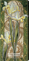 Stylized Yellow Irises - Stretched Canvas Print