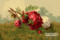 Red Rose in the Grass - Art Print