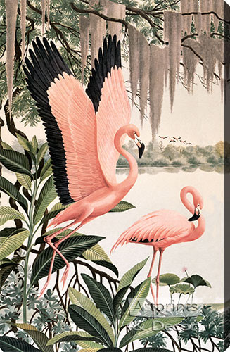 Pink Flamingos - Stretched Canvas Art Print
