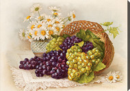 Grapes & Daisies by Paul de Longpre - Stretched Canvas Art Print
