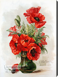 Poppies by Paul de Longpre - Stretched Canvas Art Print