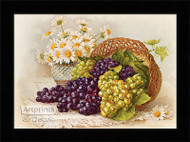Grapes & Daisies - Framed Art Print