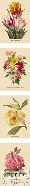 Study of Flowers by Paul de Longpre - Framed Art Print