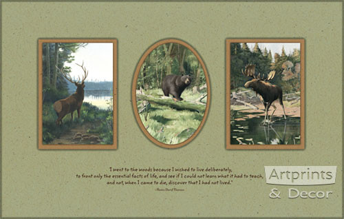 The Woods by Oliver Kemp - Framed Art Print