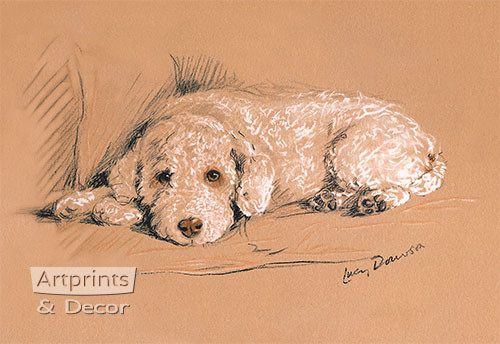 Poodle by Lucy Dawson - Art Print
