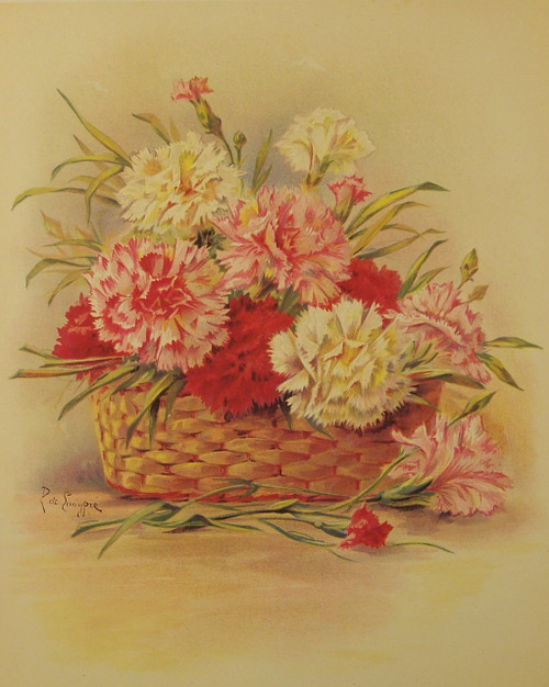 Carnations by Paul de Longpre - Framed Art Print