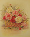 Carnations by Paul de Longpre - Framed Art Print