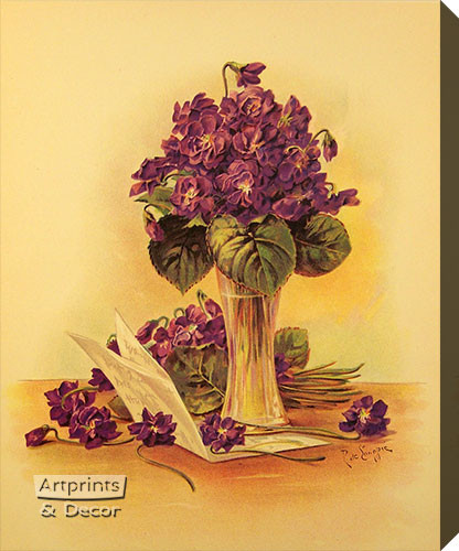 Violets by Paul de Longpre - Stretched Canvas Art Print
