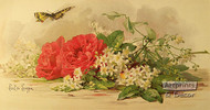 Roses & Clematis by Paul de Longpre - Art Print