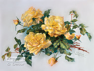 Yellowish Pink Roses by Catherine Klein - Art Print