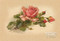 Pink Klein Rose by Catherine Klein - Art Print