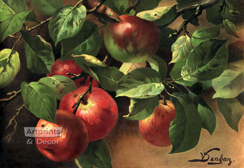 Apples by V. Sangon - Art Print