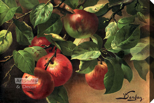 Apples by V. Sangon - Canvas Art Print
