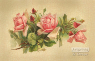 Pink Roses by Catherine Klein - Art Print