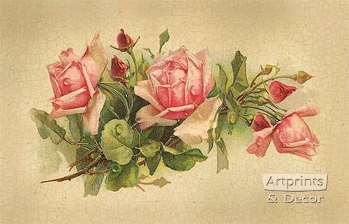 てぃんくる Rose Pink 額縁 版画 canvas てぃんくる Rose Pink 額縁 版画 canvas
