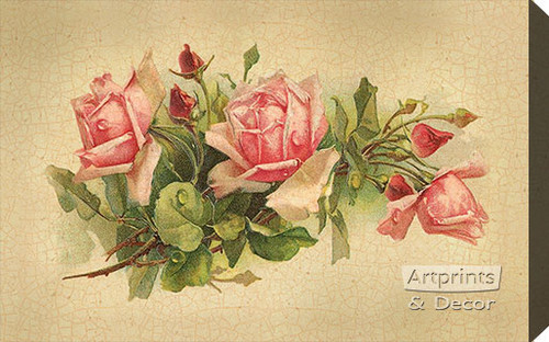 Pink Roses by Catherine Klein - Stretched Canvas Art Print