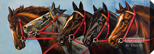 Five Horses - Stretched Canvas Art Print 